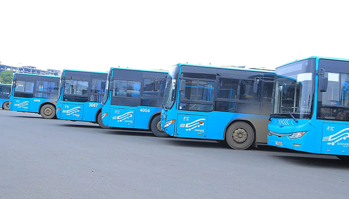 Bus 4
