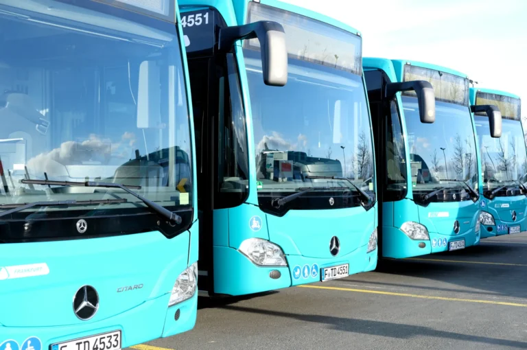 A row of city buses